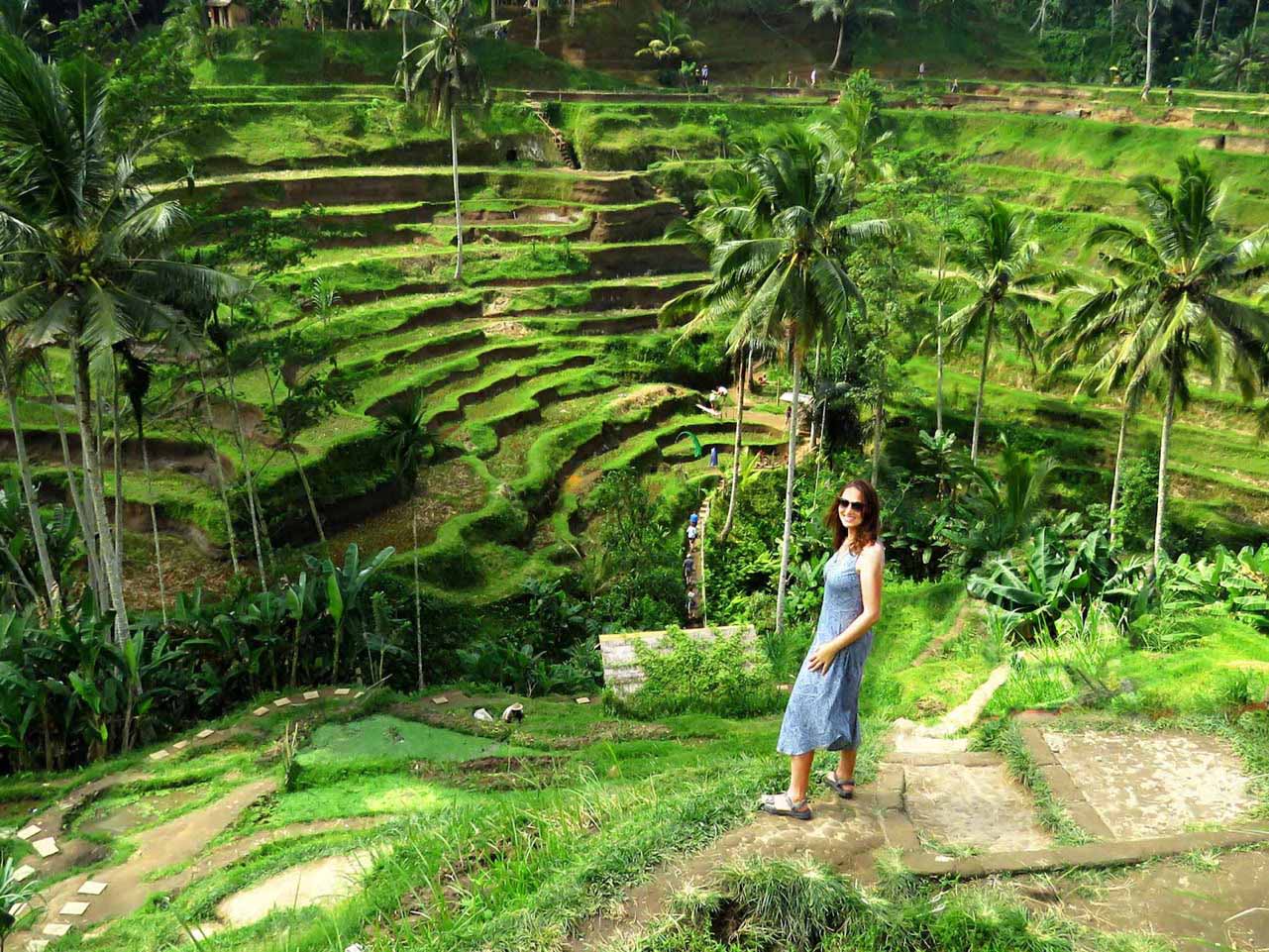 Exploring the Best 10 Rice Terraces in Bali